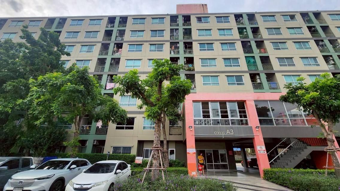 ขายด่วน! คอนโดลุมพินี มิกซ์ เทพารักษ์ (Lumpini Mixx Thepharak) – ห้องใหญ่ ชั้น 1 52.32 ตรม. ฟีลเหมือนอยู่บ้านบ้านเดี่ยว 3