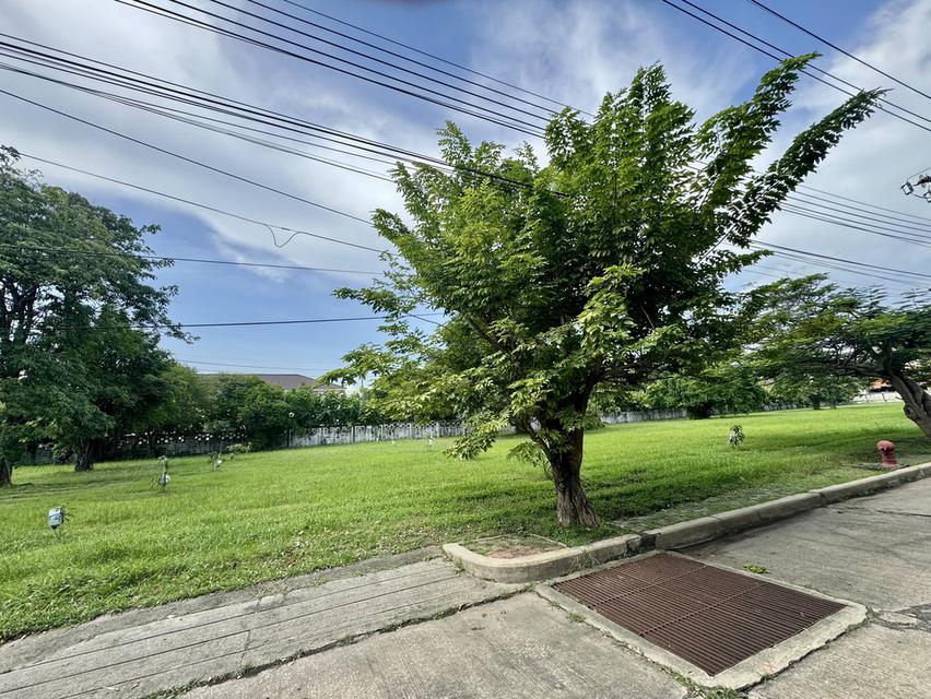 ขายที่ดินในหมู่บ้านวินด์มิลล์ พาร์ค (Windmill Park) อ.บางพลี จังหวัดสมุทรปราการ 5