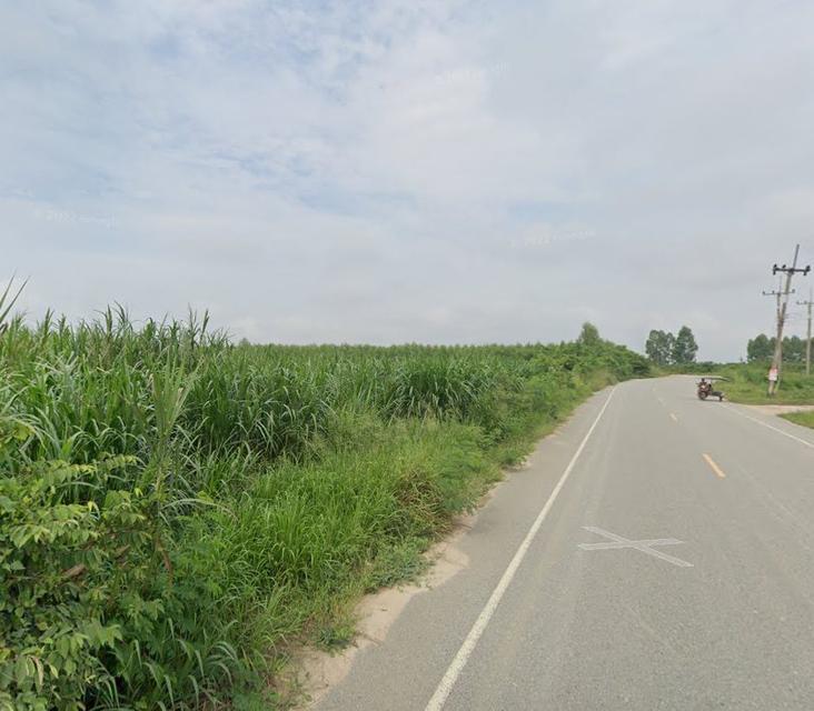 ขายที่ดินเขาหินซ้อน 43 ไร่ ติดถนนลาดยางซอยเทศบาล6 ใกล้ถนนสี่เลน304-1กม. อ.พนมสารคาม ฉะเชิงเทรา