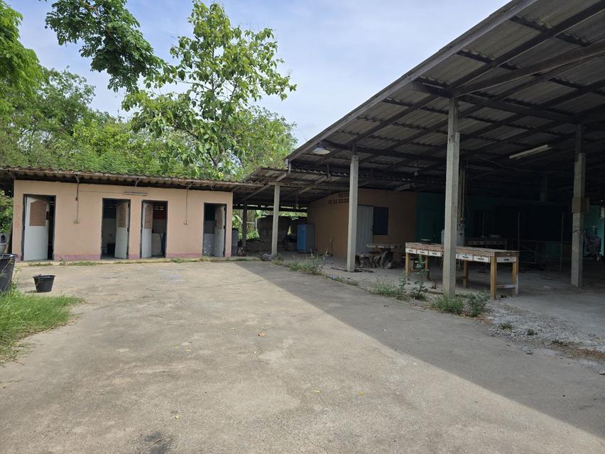  Land House and Warehouse Buildings for Sale —BangSai  10
