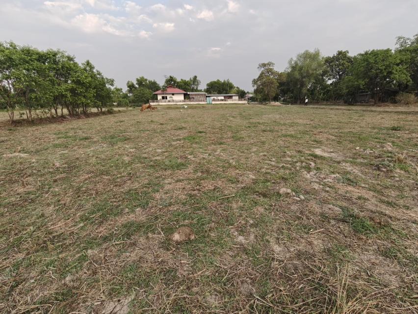 ขายที่ดินแปลงใหญ่ บ้านทุ่งขุนน้อย อุบลราชธานี ** เพียง 1.5 ลบ. ฟรีโอน ** (N.2029) 1