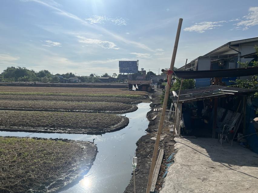 ขายที่ดินติดถนนบ้านกล้วยไทรน้อย ขนาด 10 ไร่ บางบัวทอง นนทบุรี 3