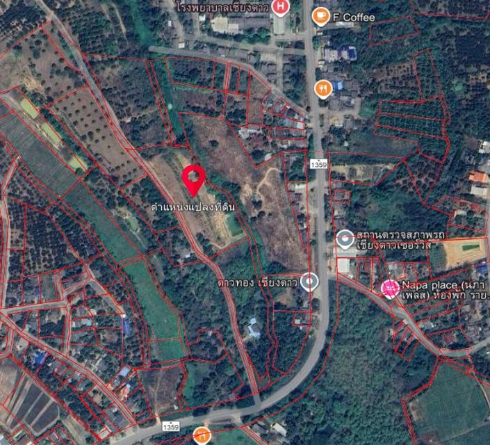 ที่ดินเชียงใหม่ อ.เชียงดาว ต.เชียงดาว 2