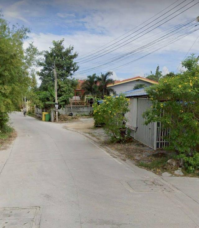 ขายที่ดินพร้อมบ้านและห้องแถว 2