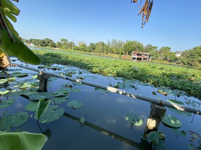 ขายที่ดินติดถนน4เลนด้านหลังติดคลองนราภิรมย์399.7 ตร.ว.ย่านนครปฐมศาลายาพุทธมณฑล