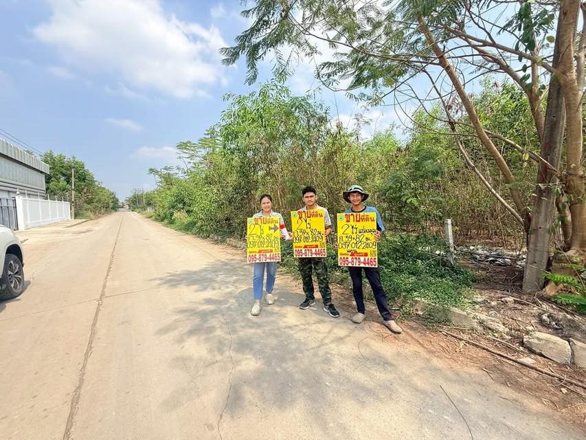 Vายที่ดิน 2 ไร่ ติดถนนคอนกรีตสาธารณะ ซอย สำนักวิปัสสนาดำรงธรรม คลองหลวง ปทุมธานี 1