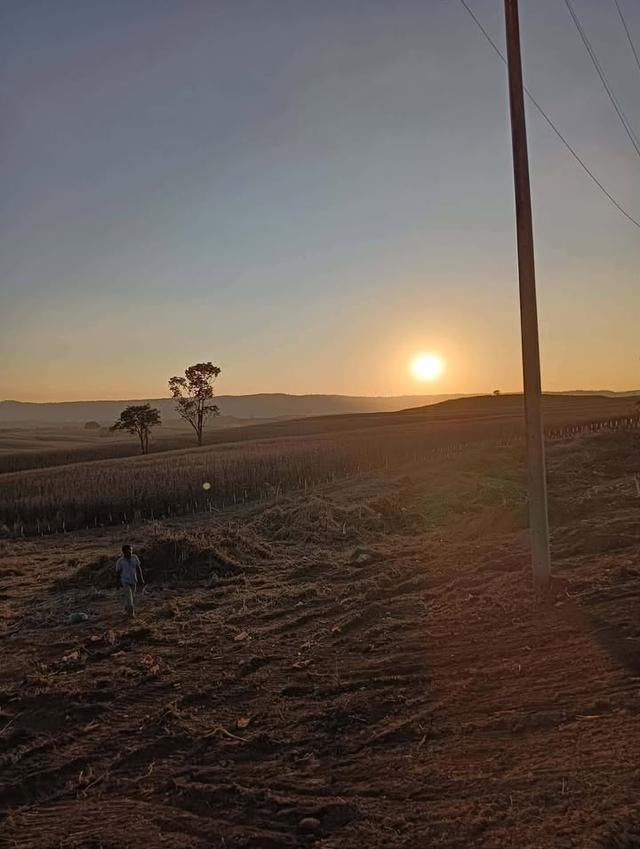 ที่ดินเปล่า ล้อมรั้วเรียบร้อย ถนน 3139 วังน้ำเขียว 13