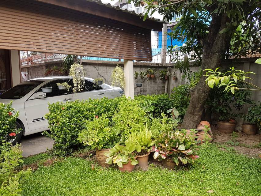 ขายที่ดิน พร้อนบ้าน ซอยน้อมจิต สันติภาพ1 บางรัก เนื์้้อที่ 99 ตรว ราคา 34.0 ล้านบาท 6
