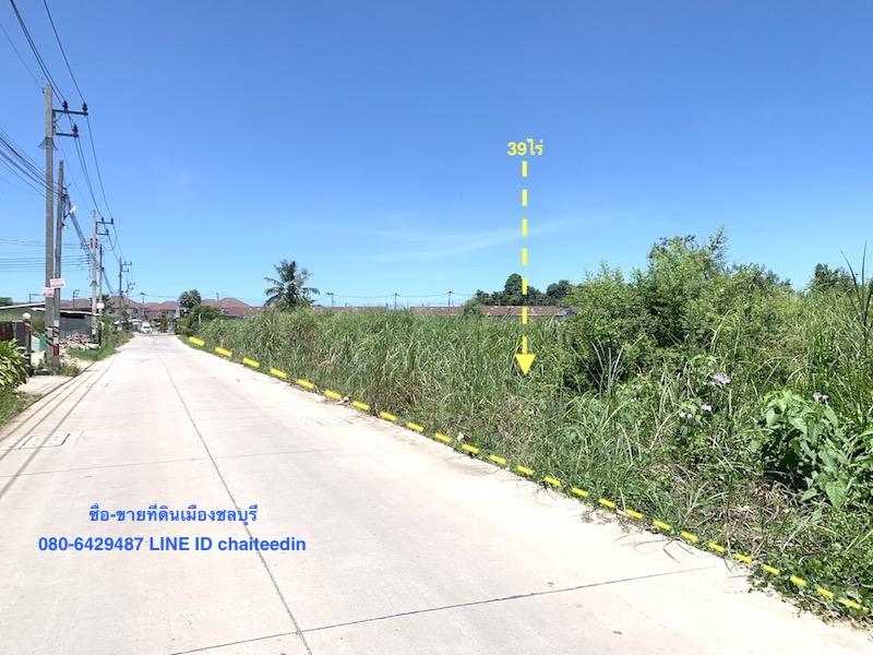 ขายที่ดิน บึง ศรีราชา 39.5ไร่ หรือ ให้เช่าระยะยาวที่ดินตำบลบึง ที่ดินติดถนน 3ด้านเนื้อที่รวม 39-2-97ไร่ ใกล้ตลาดวรกิจใกล้คู่ขนานมอเตอร์เวย์ ทำเลดี 3