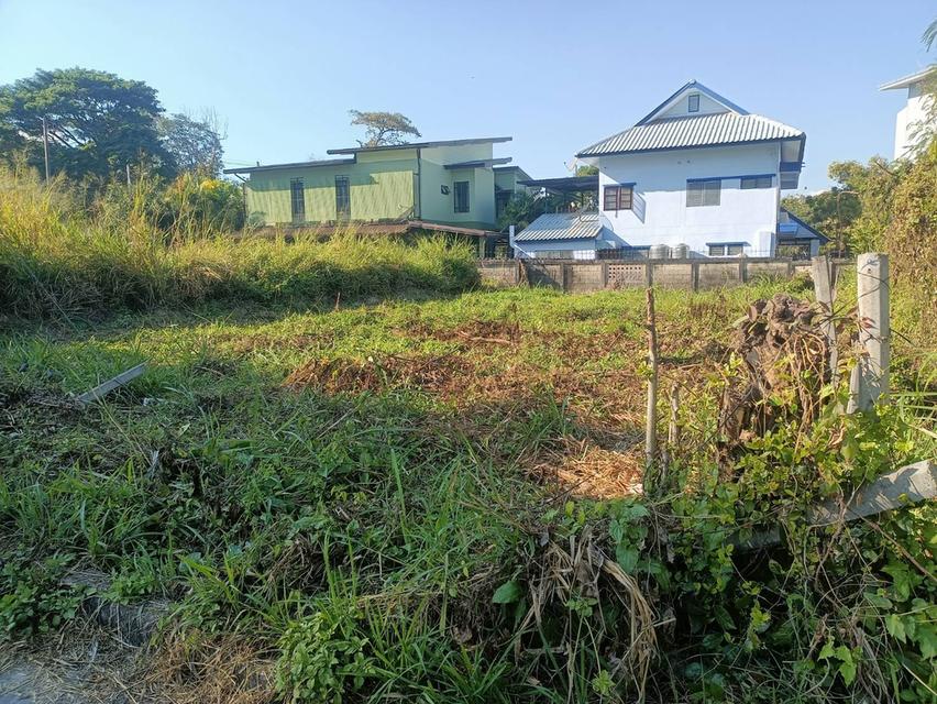 ที่ดินใกล้ อบจ.เชียงใหม่ 3