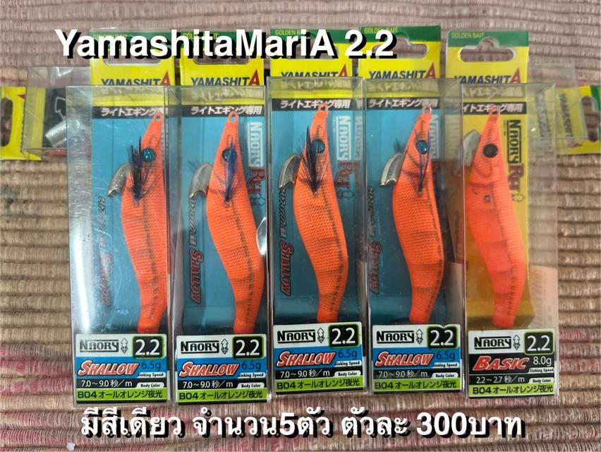 เหยื่อตกปลาหมึก  9