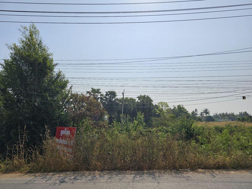ขายที่ดิน 2 ไร่ เขาน้อยปราณบุรี ติดถนนเพชรเกษม ใกล้สามแยกบายพาสชะอำ-ปราณบุรี ที่ดินแปลงมุม ทำเลดี ใกล้แมคโคร โลตัส 5