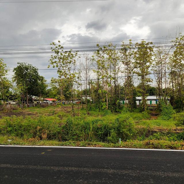 ที่ดินลพบุรี โฉนดเนื้อที่ 3 ไร่ 1