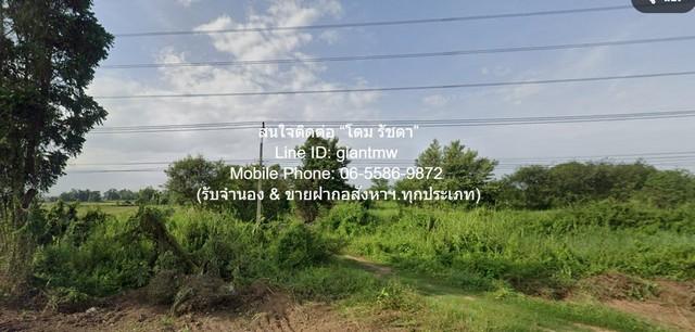 ขายที่ดินเปล่าถมแล้ว บึงพระ จ.พิษณุโลก ติดถนนเลี่ยงเมืองพิษณุโลก 8-3-83 ไร่ ราคา 25 ล้านบาท 5