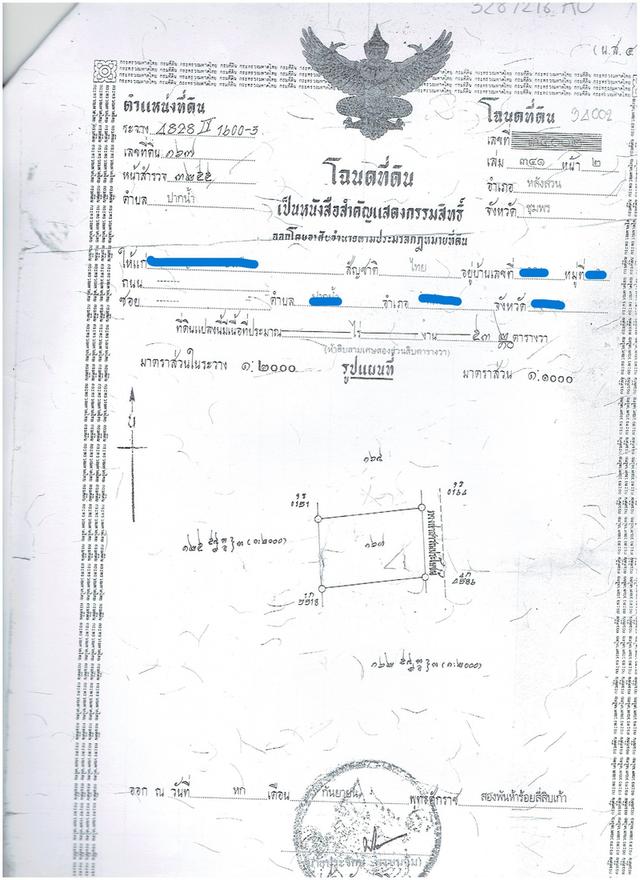 ขายที่ดิน ต.ปากน้ำ อ.หลังสวน จ.ชุมพร 3