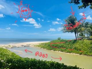 ขาย 3 ล. ที่ติดทะเล 1ไร่ 24วา ติดหาดยาว 67 เมตรอยู่ระโนด สงขลา  4