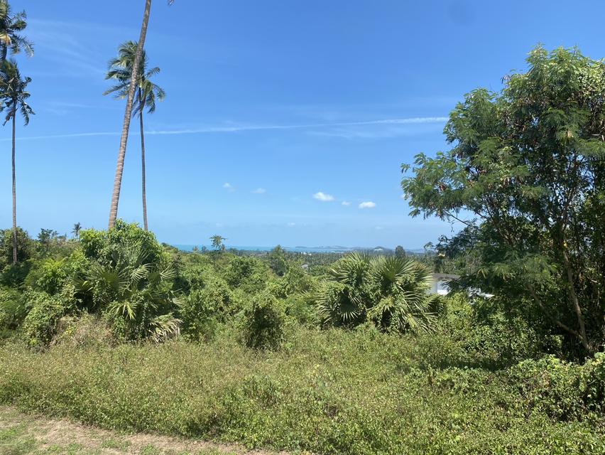 📍Land For Sale in KOH Samui 6