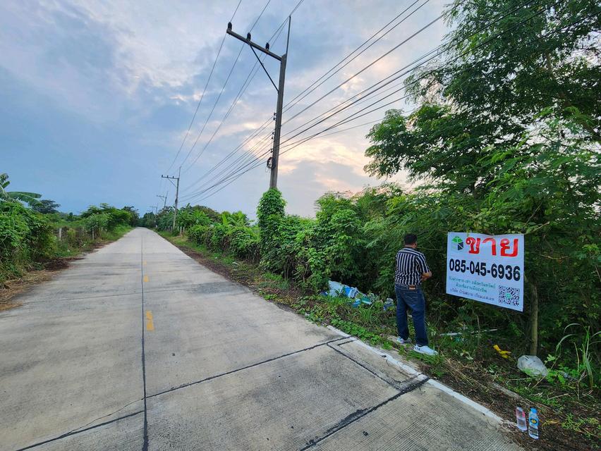 ขายที่ดิน รังสิต นครนายก คลอง7 แปลงสวย ขนาด1 ไร่เต็ม หนองเสือ- ซ.บึงบอน 10 ทำเลดีในราคาจับต้องได้ ✨ เพียง 1.5ล้านบาท 7