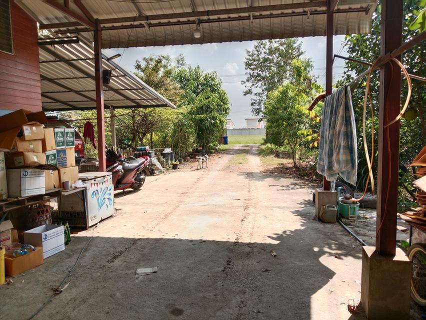 ขายบ้านสวน2ไร่ คลองหก คลองหลวง ปทุมธานี เส้นเดียวกับ ม.ราชมงคลคลองหก 16
