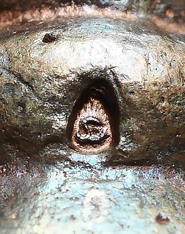 ประวัติการสร้าง พระกริ่งชินบัญชร หลวงปู่ทิม วัดละหารไร่ ตอกโค๊ต นะ และหมายเลข ๑๒๖๙...เก่าๆ 6