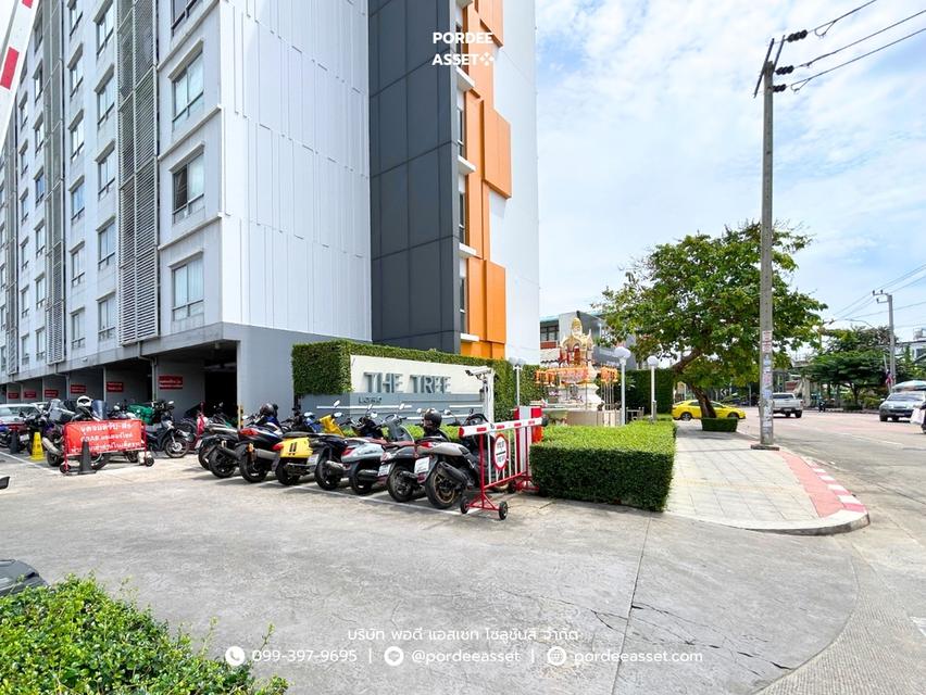 เดอะทรี ลาดพร้าว (ลาดพร้าว-วังหิน) ทำเลย่านดังโชคชัย 4 : The Tree Ladphrao 9