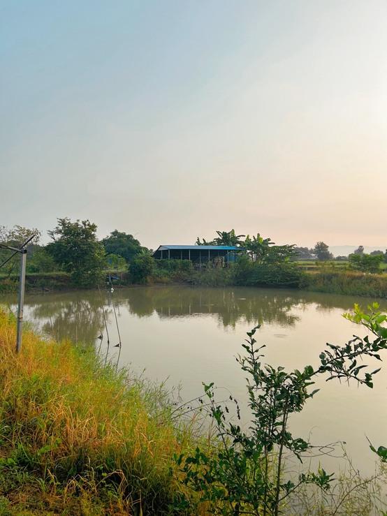 ขายบ้านพร้อมที่ดิน 5ไร่  (เจ้าของขายเอง) ราคาเพียง 3,800,0000 บาท 7