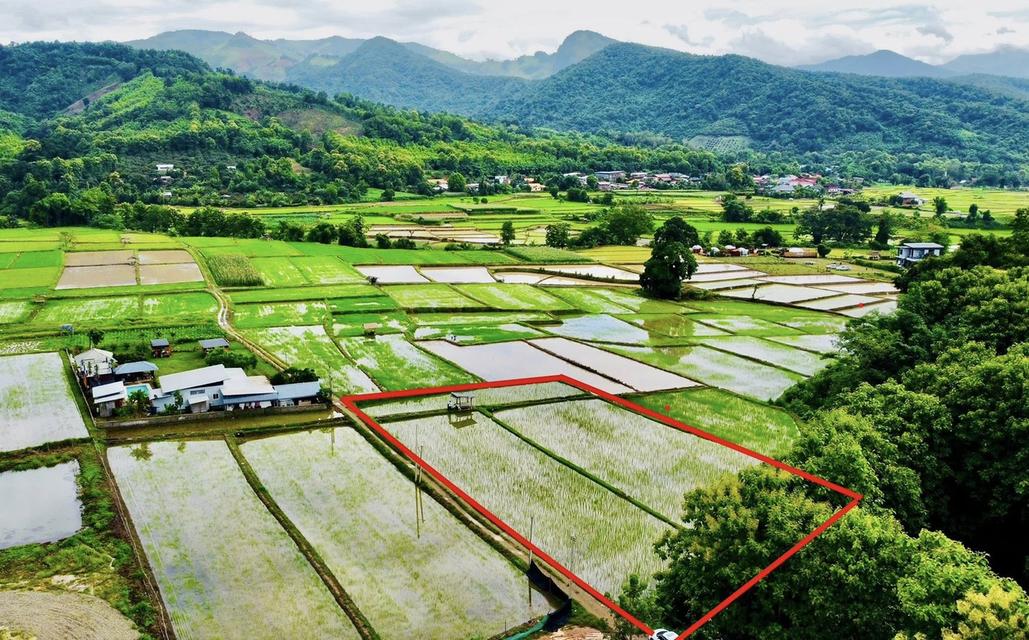 ขายที่ดิน ปัว น่าน 707 ตร.ว. ราคา 1.9 ล้าน 1