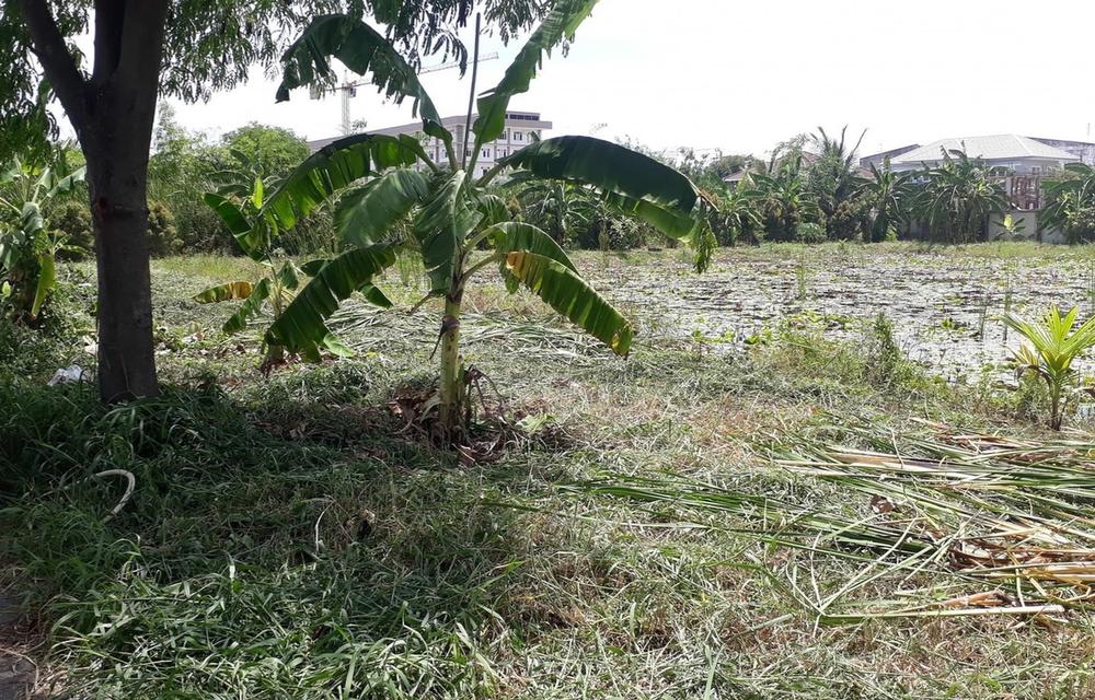 ที่ดินเปล่า ในซอยวัดกู้ 1