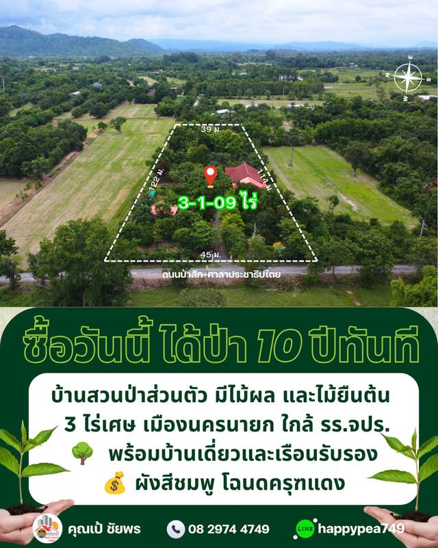 🌳 ที่ดินเมืองนครนายก พรหมณี 3 ไร่เศษ พร้อมบ้านสวนป่าส่วนตัวผังสีชมพู ใกล้ รร.จปร. 1
