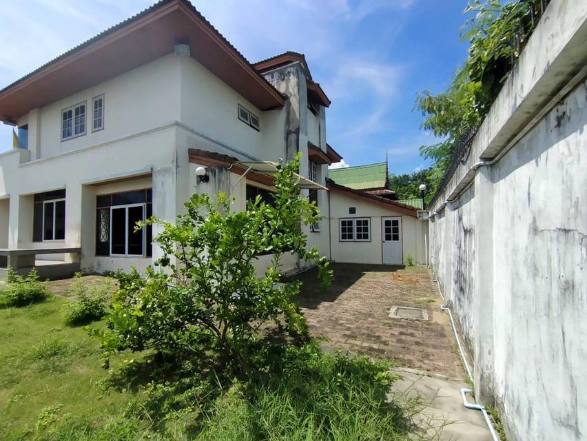 ขายบ้านเดี่ยว 2 ชั้นนอกโครงการ ใจกลาง ถนนเพชรเกษม(ซอยเพชรเกษม 68)บ้านหลังมุมติดถนนซอย ขนาด 214 ตารางวา 3