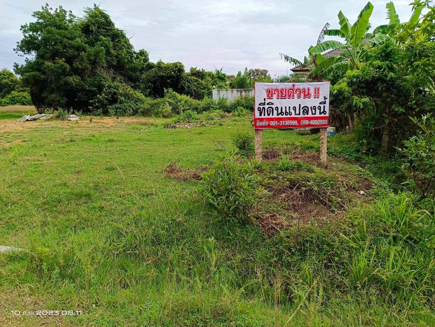 ที่ดิน ทำเลสวย น้ำไม่ท่วม เงียบสงบ 8