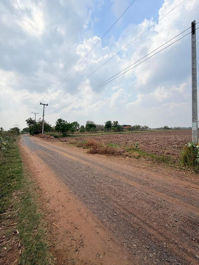 📍ขายที่นา 4ไร่ 3งาน 3.1ตารางวา หน้ากว้าง 38 เมตร น้ำไม่เคยท่วม มีไฟฟ้า น้ำปะปา ติดถนน 4