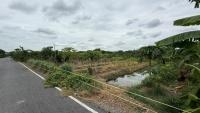 ขายที่ดิน 2 ไร่ บางบัวทอง ใกล้ถนน 345 เหมาะสำหรับปลูกบ้าน เก็งกำไร