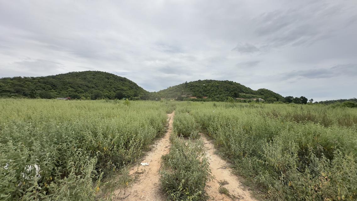 ขายที่ดินแปลงใหญ่ วิวภูเขา หัวหิน ประจวบคีรีขันธ์ 7