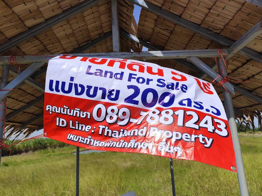 ขายที่ดินเปล่า แปลงธรรมชาติ ท่ามกลางไร่อ้อย ใกล้ มหาวิทยาลัย  Selling nice at Nakhon Pathom รูปที่ 9