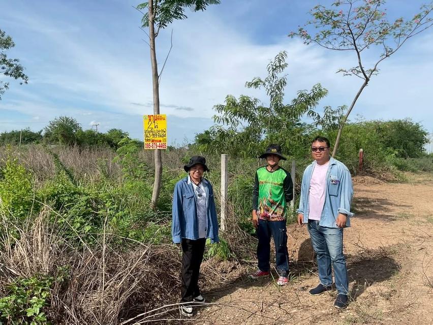 ขายด่วนที่ดินติดคลังBig c 2 ไร่ ติดถนนดิน ถมแล้ว คลองหก ตอ.36 คลองหลวง ปทุมธานี 1