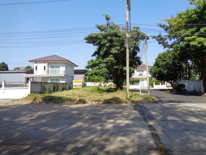 🚩 ขายที่ดินแปลงหัวมุม 129 ตารางวา ราคาถูกสุด❗ ทำเลดี ภายในโครงการหรูมีระดับ 7