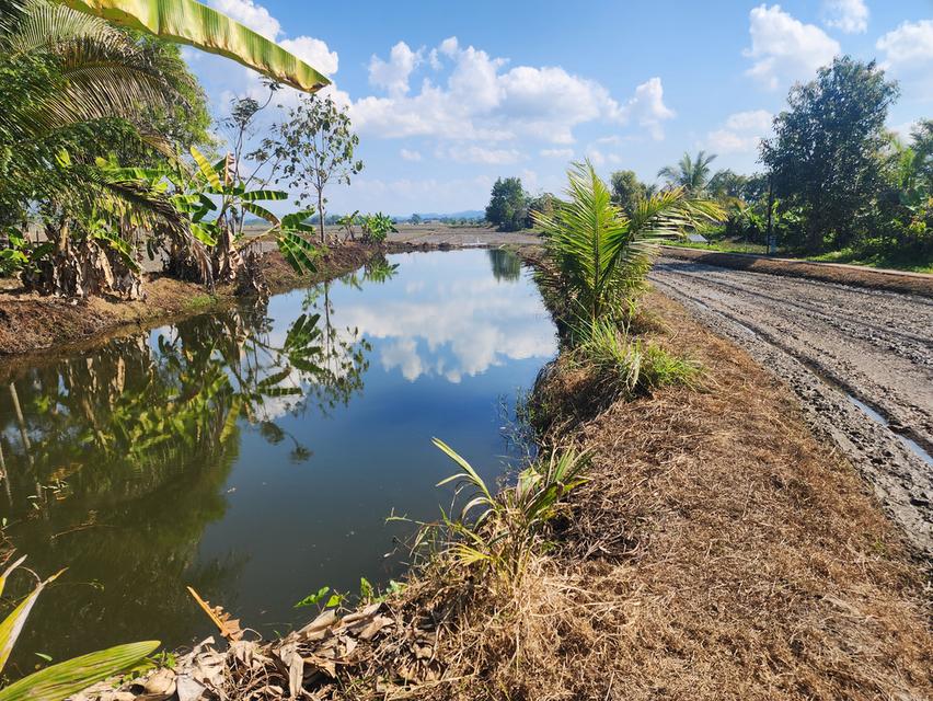 ขายที่ดิน ที่นาพร้อมบ่อปลา หมู่ 3 ต.เวียงเหนือ อ.เวียงชัย จ.เชียงราย ขนาด 2ไร่ 3 งาน 28 ตรว.มีทางเข้าออก สาธารณะ +ไฟฟา/น้ำปะปา เข้าถึง ราคา 9 แสนบาท ส 1