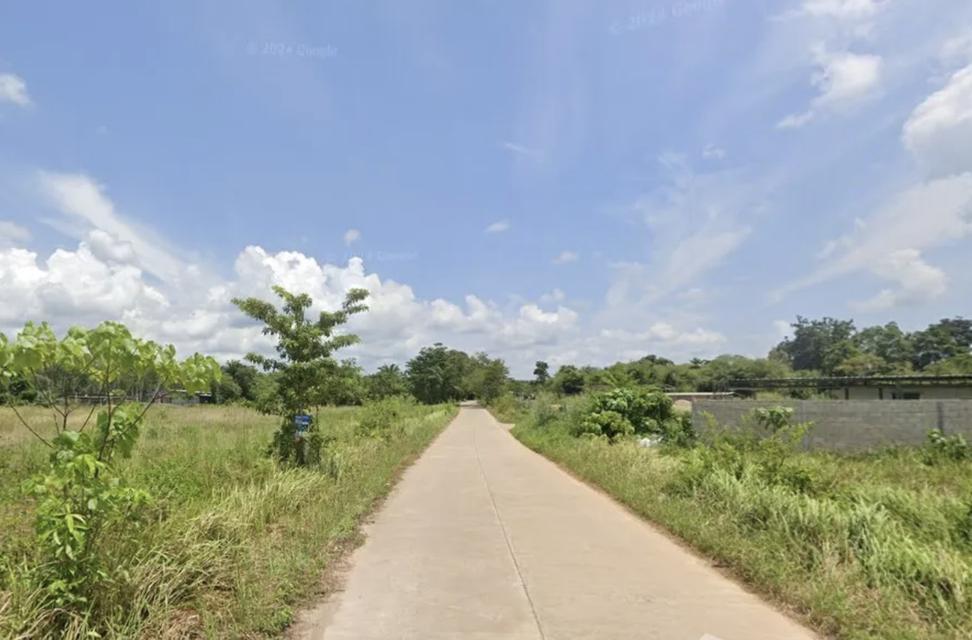 ที่ดินสำหรับสร้างบ้าน หรือธุรกิจทาวส์โฮมน์ 1