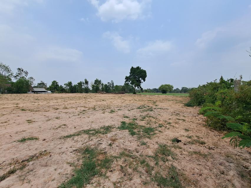 ที่ดินเปล่า 2 ไร่ 2 งาน 60 ตรว. ติดศูนย์ราชการอำเภอนามน จังหวัดกาฬสินธู์ 5