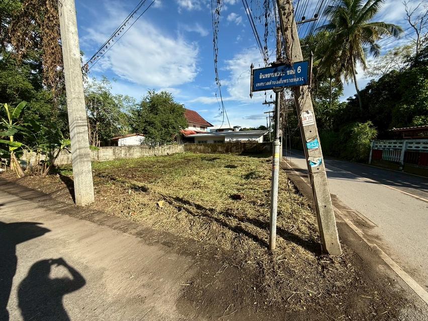 ขายที่ดินสันทรายหลวง
