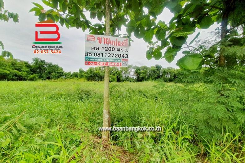 ที่ดินเปล่า ระแหง-ลาดหลุมแก้ว เนื้อที่ 3 ไร่ ติดบจก.ชาญนครวิศวกรรม, ตรงข้ามปั้ม ปตท. ม.12 ถนนกาญจนาภิเษก ตำบลระแหง อำเภอลาดหลุมแก้ว จังหวัดปทุมธานี 1