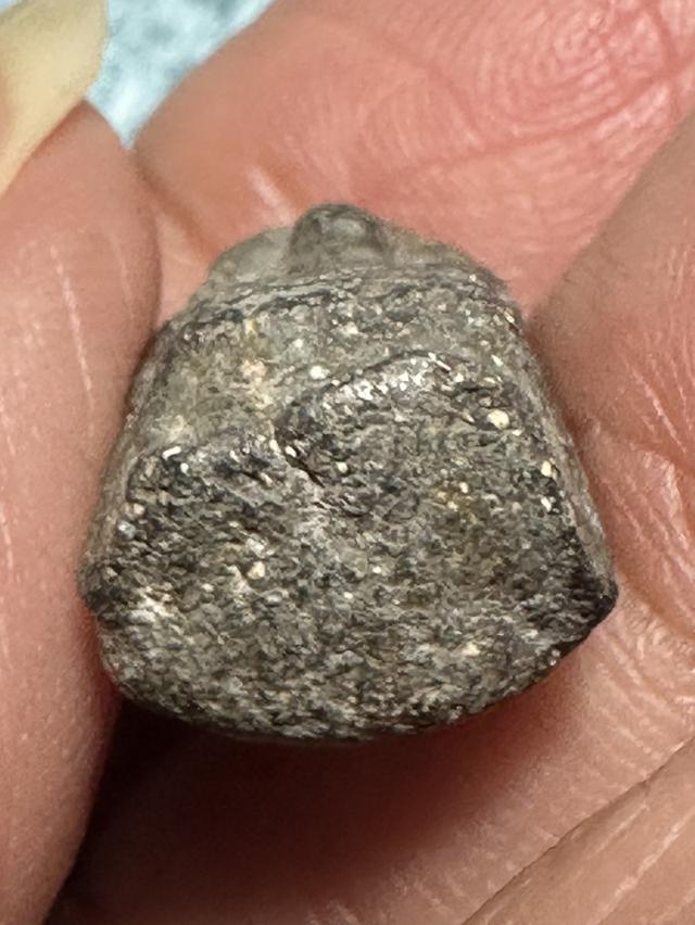 พระชัยหม่อมมิตร (พิมพ์สมาธิเม็ดบัว) เนื้อผงใบลานคลุกรัก หลวงพ่อพริ้ง วัดบางปะกอก กทม. รูปที่ 6