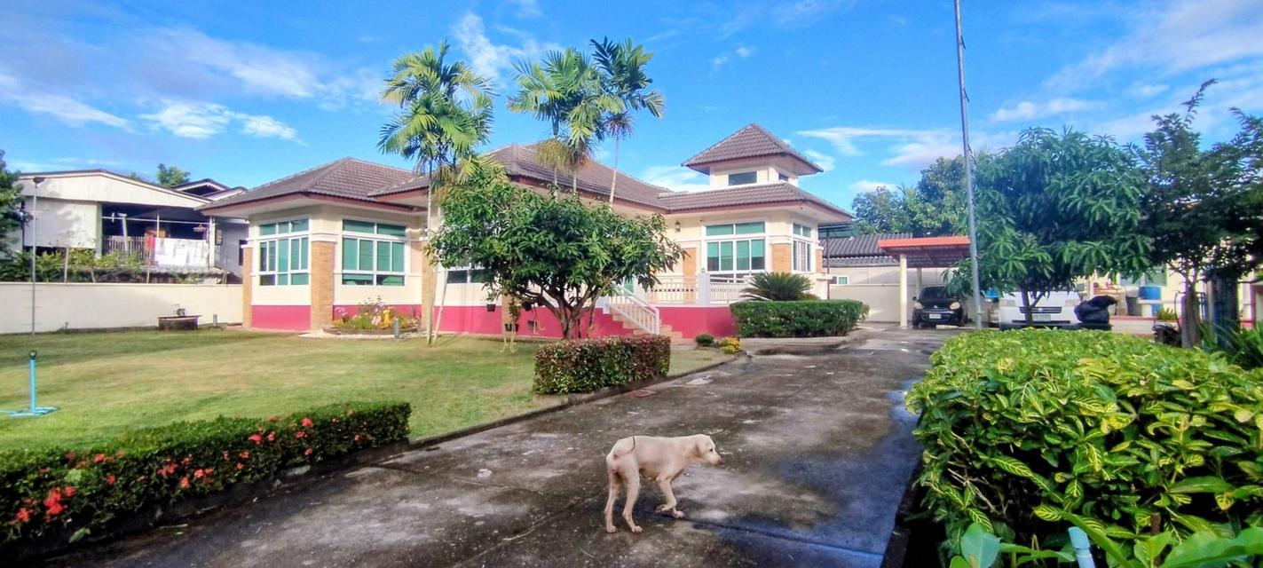 บ้านเดี่ยวพร้อมที่ดิน 1