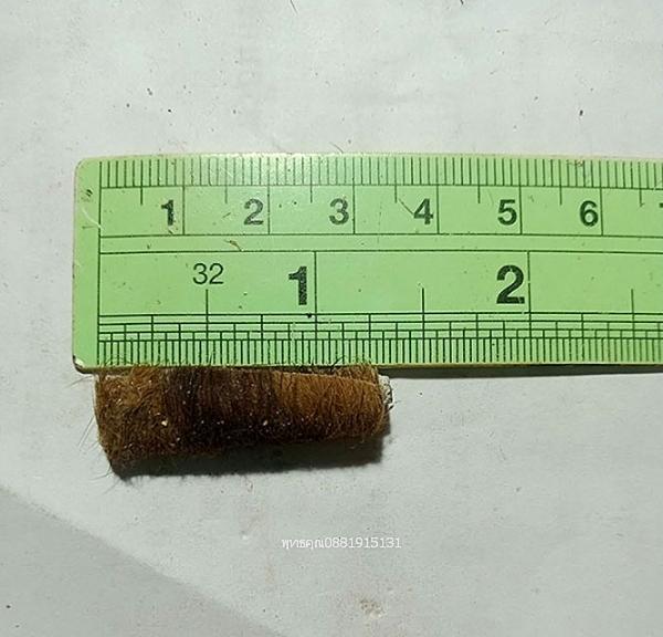 ตะกรุดหนังเสือวัดกม.26ใน จ.ยะลา 3