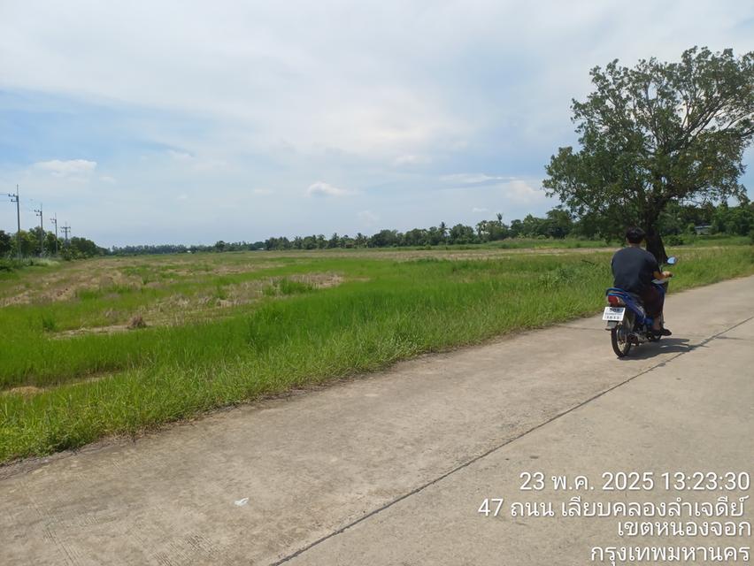 ขายด่วนที่ดิน30ไร่ 24,000,000บาท 4