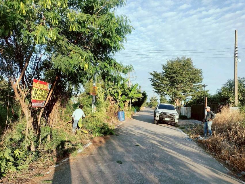 ขายถูกที่ดินใกล้วัดธรรมกาย 204  ตรว ติดถนนคอนกรีตสาธารณะ ซ.คลองสาม 10/15 อ.คลองหลวง จ.ปทุมธานี 5