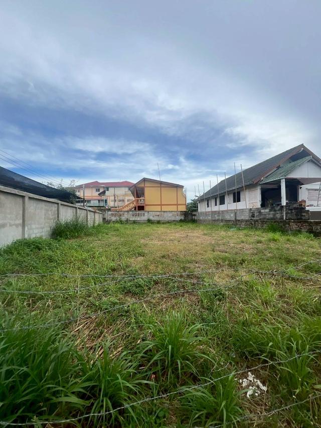 ขายด่วนที่ดินพัทยา บางละมุง ชลบุรี 6