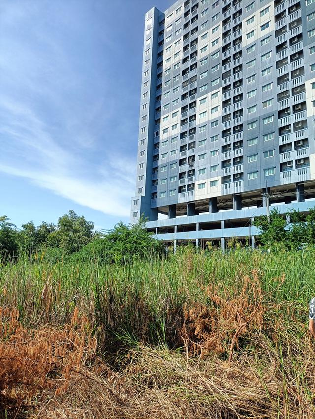 ที่ดิน ชะอำ 404 ตร.วา ใกล้หาด 300ม. 16