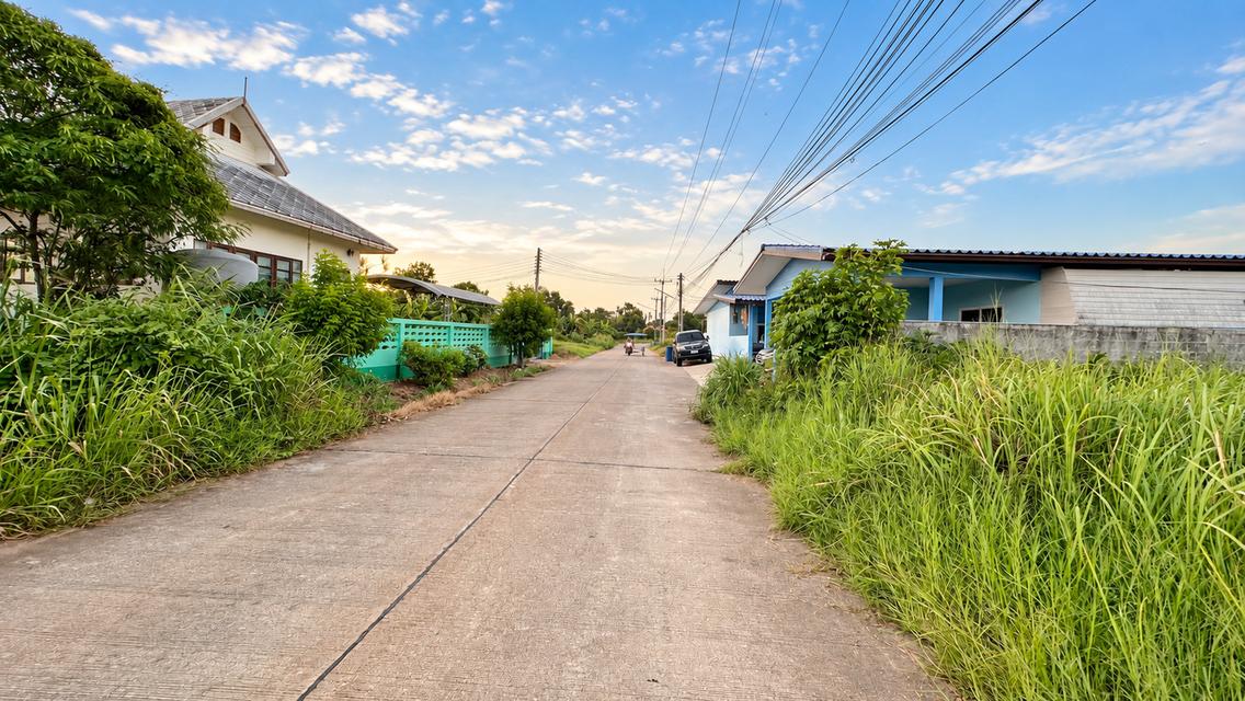ขายที่ดินเสมอถนน ไม่ต้องถม 14 ไร่ ใกล้หาดสวนสน ระยอง 700 m ติดถนนคอนกรีต 2 ด้าน ไฟฟ้า–ประปาพร้อม 3